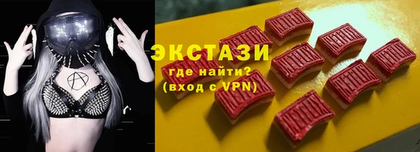 СК Ельня