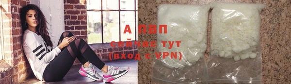 СК Ельня