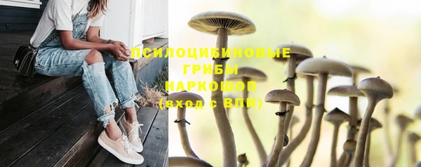 ECSTASY Елизово