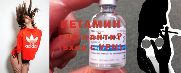 СК Ельня