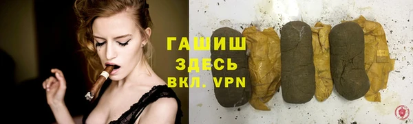 СК Ельня