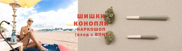 ECSTASY Елизово