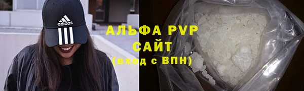 СК Ельня