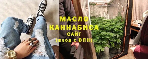 СК Ельня