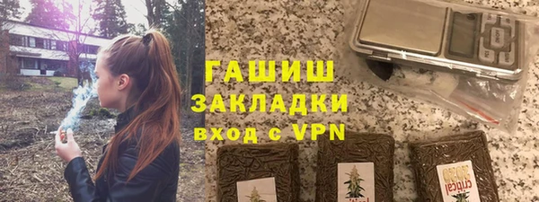 СК Ельня