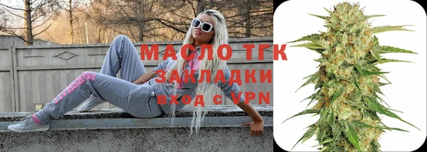 СК Ельня
