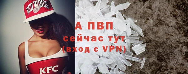 ECSTASY Елизово