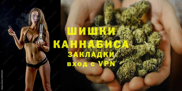 СК Ельня