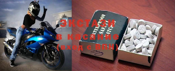СК Ельня