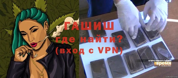 СК Ельня