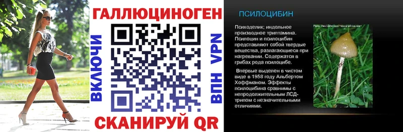 Галлюциногенные грибы Cubensis  Купить где  Билибино 
